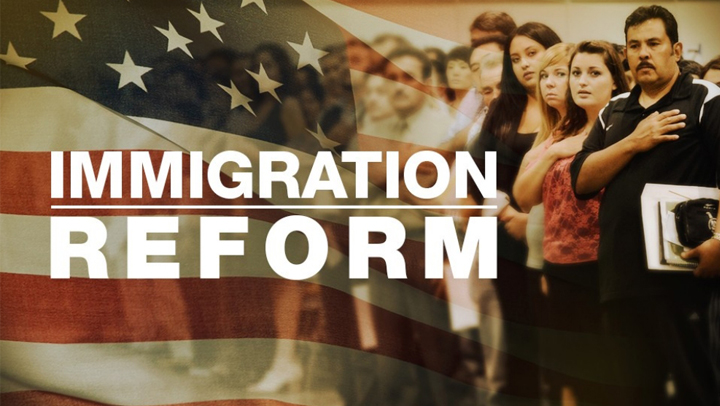 Immigration reform essays